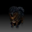 Tibetan-Mastiff01.jpg Tibetan mastiff - DOG BREED - CANINE -3D PRINT MODEL