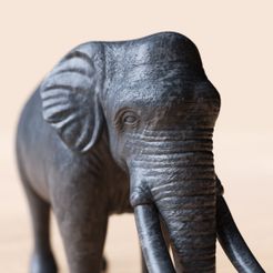 702618375.jpg STL file Elephant 3D model・3D printing idea to download