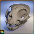 cat3.jpg Cat Skull