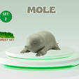 Mole-F.png Cute Mini Mole – Commercial