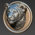 36.jpg Lion cub head