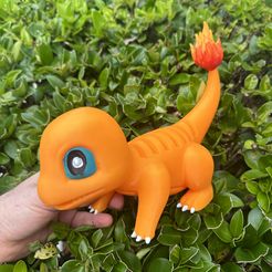 IMG_1758.jpg STL file Charmander PSA card organizer・3D printing template to download