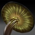 5.jpg Mushroom Giant 3D FOREST NATURE GRASS VEGETABLE FRUIT TREE FOOD WORLD LANDSCAPE MAGIC Mushroom Giant