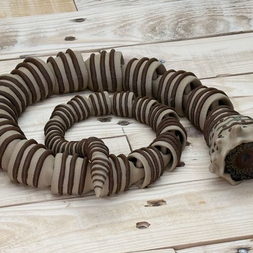 IMG_0391.jpeg Gusano de arena