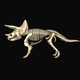 1.jpg Triceratops: complete anatomy