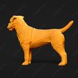 2227-Border_Terrier_Pose_03.jpg Border Terrier Dog 3D Print Model Pose 03