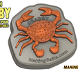 Making-Baits-2.75-in-Crabby-Open-Pour-Mold4.png Molde de isco aberto para caranguejo de 2,75 polegadas