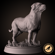 Preview03.png Pack mastiff