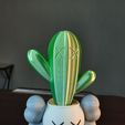 20230302_234832.jpg Kaws planter with cactus (divided by color)