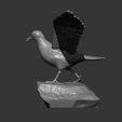 seagull-on-the-stone13.jpg Seagull on the stone 3D print model