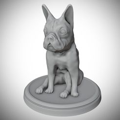 french-bulldog-sitting-pose-3d-model-fbx-stl-blend.jpg Archivo STL Bulldog francés・Objeto imprimible en 3D para descargar, LowrixDesign