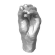 Mano-Presa-Pluridigital-2.png Pluridigital prey hand