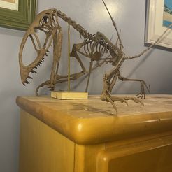 Esqueleto de Dimorphodon