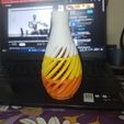 IMG-20240324-WA0002.jpg Curve Wire Decoration Vase (4 Colors) - 3D Printable