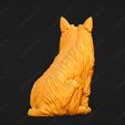 684-Australian_Terrier_Pose_05.jpg Australian Terrier Dog 3D Print Model Pose 05