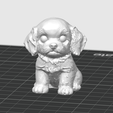 Captura-de-pantalla-2025-12-08-a-la-s-00.15.36.png Poodle mix dog