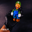 6.png Luigi flexi / PRINT-IN-PLACE WITHOUT SUPPORT /3mf
