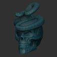 Shop3.jpg Skull with rattlesnake, eyes open