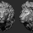 2.jpg lion head