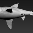 06.jpg Great white shark