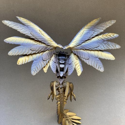 IMG_E2587.jpg Grignoteuse d'archéoptéryx