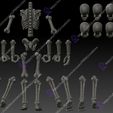 14.jpg Skeleton Bone Set.