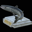Barracuda-huba-trophy-4.png fish great barracuda statue detailed texture for 3d printing