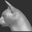 10.jpg Abyssinian cat head for 3D printing