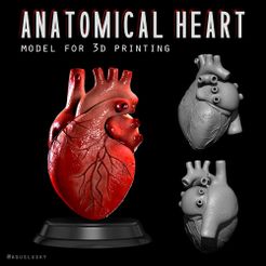 Ne Sa MODEL FOR 5D PRINTING @AGUSLUSKY Fichier STL Coeur humain anatomique・Modèle à télécharger et à imprimer en 3D, aguslusky