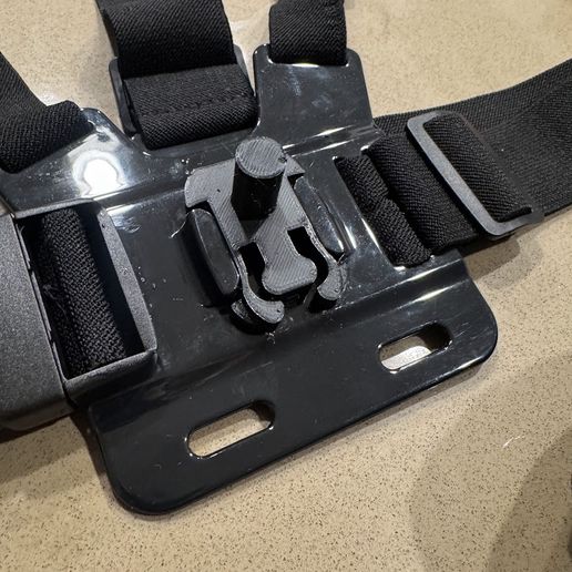 IMG_1475.jpg Moo Deng Chestburster