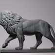 Lion-2.jpg Lions King