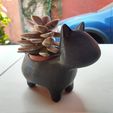 IMG_20220206_125216863_HDR.jpg STL file cat plant pot・3D printing design to download