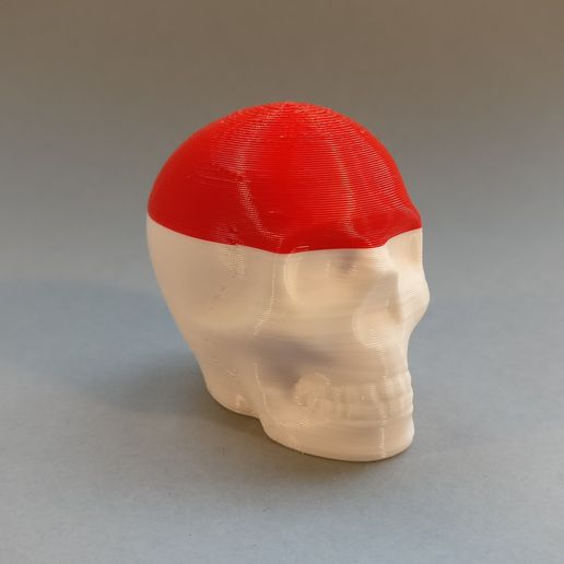 2017-01-10 15.53.34.jpg Archivo STL gratis Riley la impresión del cráneo・Diseño por impresión en 3D para descargar, macouno