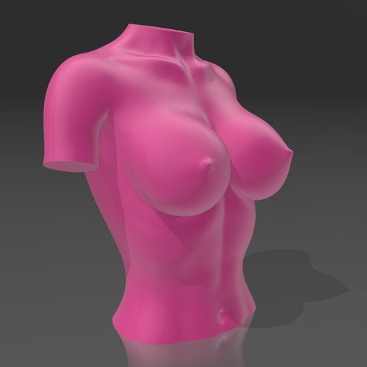 009.png Bust 11 - STL 3D Printer