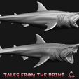 Great-white-shark-megalodon-3-Tales-from-the-print.jpg 鲨鱼--巨齿鲨--大白鲨套装--单件和多件版 品质卓越，由 Tales from the print 提供