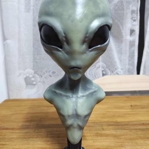 IMG_20220312_002333.jpg GREY ALIEN BUST MODEL