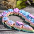 PXL_20241211_155054511.PORTRAIT.jpg Cute Flower Snake Flexi (Commercial Use)