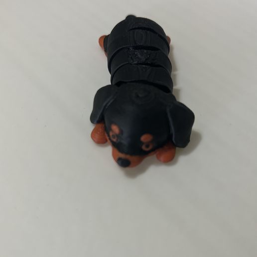 perrito articulado