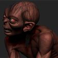 gollum 0017.jpg STL file Gollum - The Hobbit - The Lord of the Rings・3D printable model to download