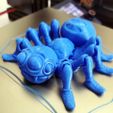 Cute Flexi Print-in-Place Spider, 3D_PRINT_IRAQ