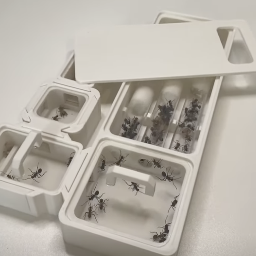 Screen-Shot-2024-04-02-at-10.39.38-pm.png All in 1 Modular Ant Nest Den Queen Founding for Test Tube