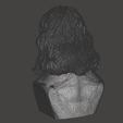 Isaac-Newton-5.png 3D Model of Isaac Newton - High-Quality STL File for 3D Printing (PERSONAL USE)