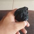 67.jpg Pug dog realistic model, splited and ready for 3d print