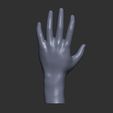 4.jpg low-poly rigging hand model, low-poly rigging hand model