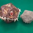 20241219_163311.jpg Mimic Dice Box