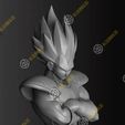 Vegeta8.jpg Vegeta (classic armor)