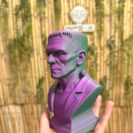 WhatsApp-20Image-202025-09-30-20at-2022.45.32-20-1.jpeg Frankenstein