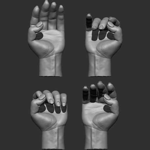 1-ZBrush-Document.jpg Hand details