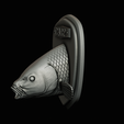 common-carp-25.png head trophy COMMON CARP (CYPRINUS CARPIO)open mouth statue 2 detailed texture for 3d printing