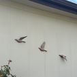 IMG_5537.jpeg Birds in Flight: Three beautiful wall-mounted bird sculptures